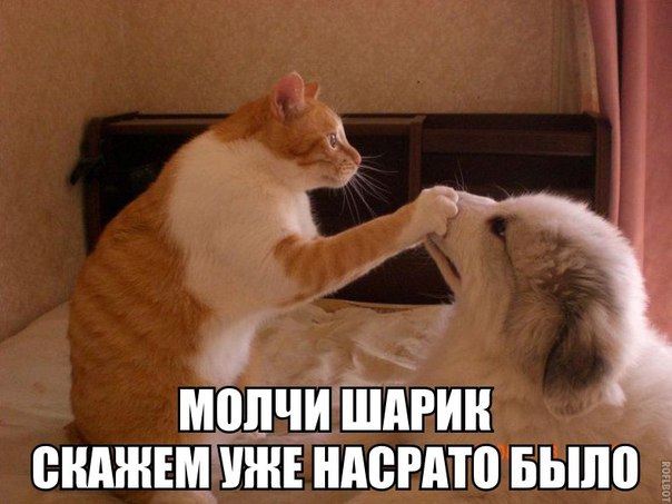 Картинки всякие разные