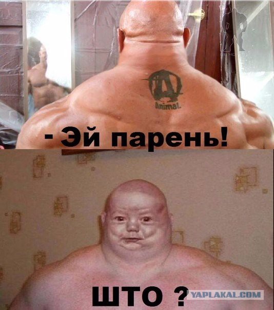 Картинок всяких