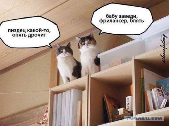 Адовый трэш и идиотизм со всей Галактики