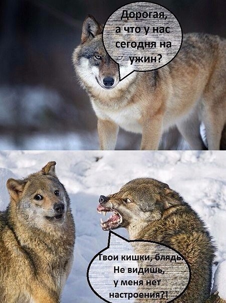 Предновогодняя распродажа