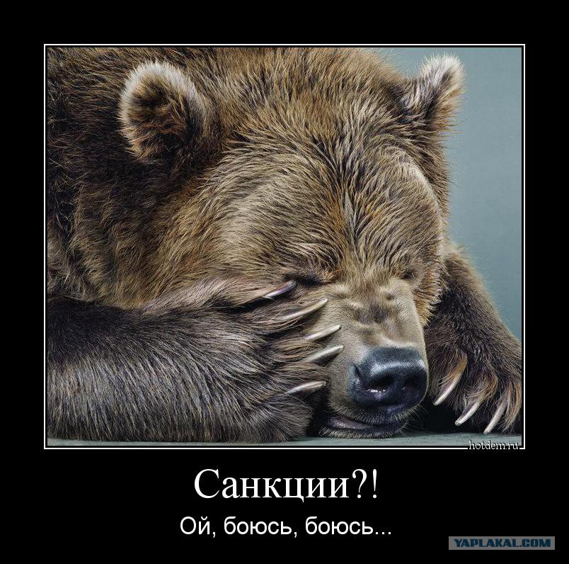 Боюсь картинки прикольные