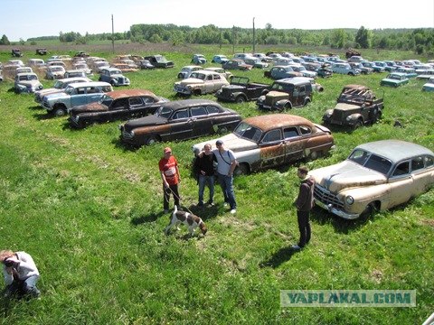 Японский коллекционер-автолюбитель