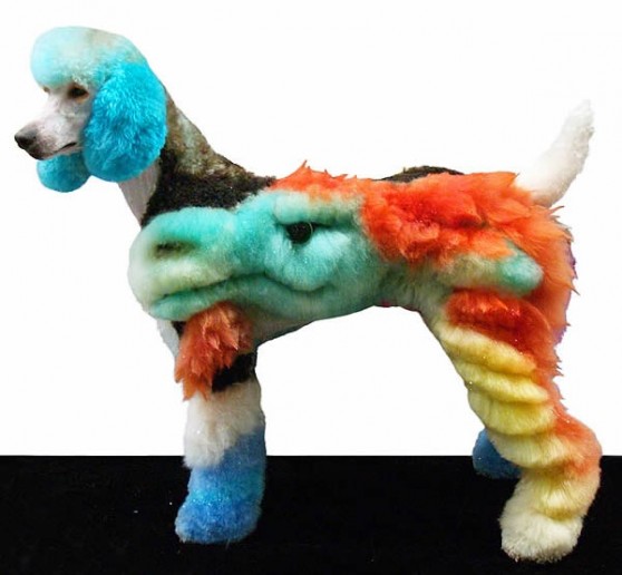 Крышесносящие собачьи прически