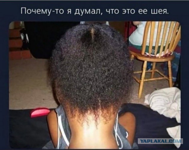 Веселые картинки