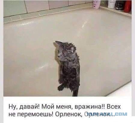 Картинки с надписями и анекдоты