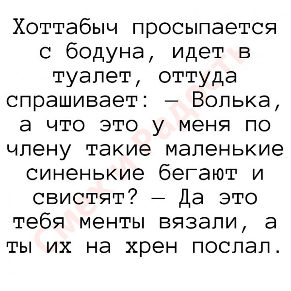 Лента анекдотов на среду 20 мая 2020