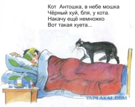Кот, Антошка и порошок