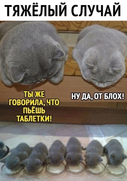 Бредзона 23.11.20