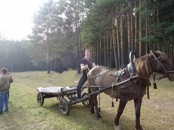 Фотожаба: если б я имел коня...