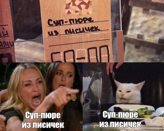 Кота не переубедить