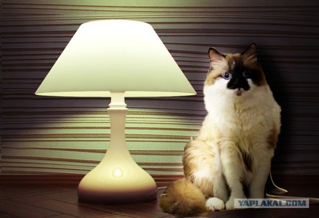 Снегурочка осталась ночевать