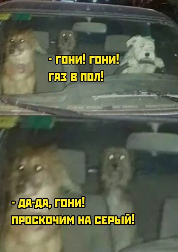 Воскресные картинки