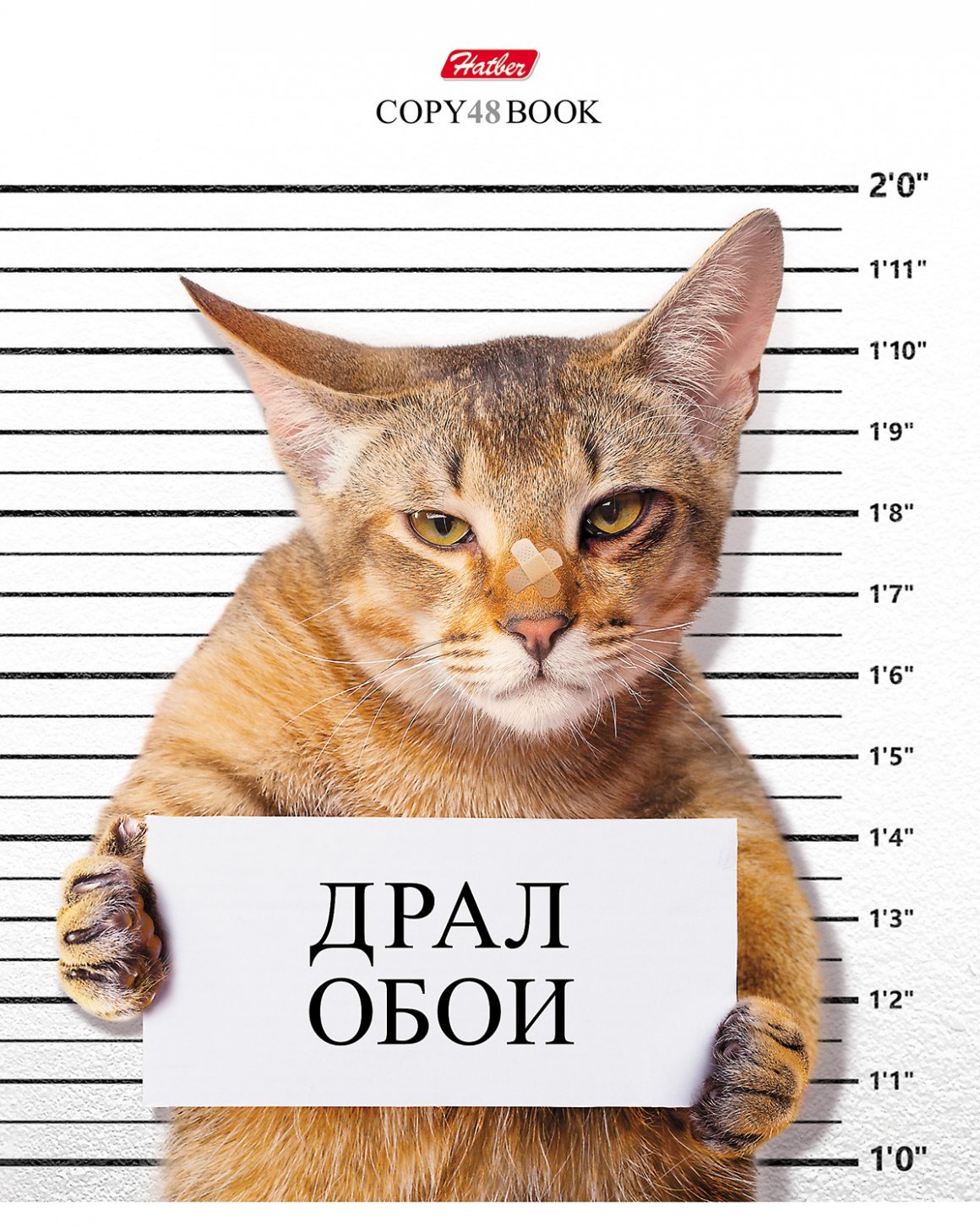 Кот преступник с табличкой