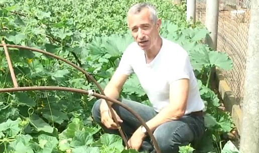 Знакомая с журфака спросила...