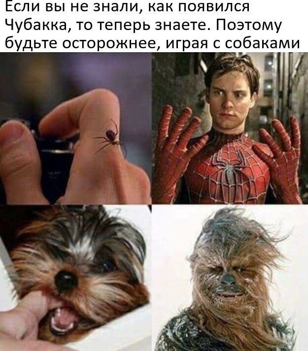 Картинки и мемы для настроения - 187