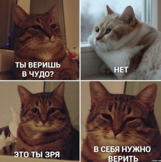 Так себе картинки 16.02.24