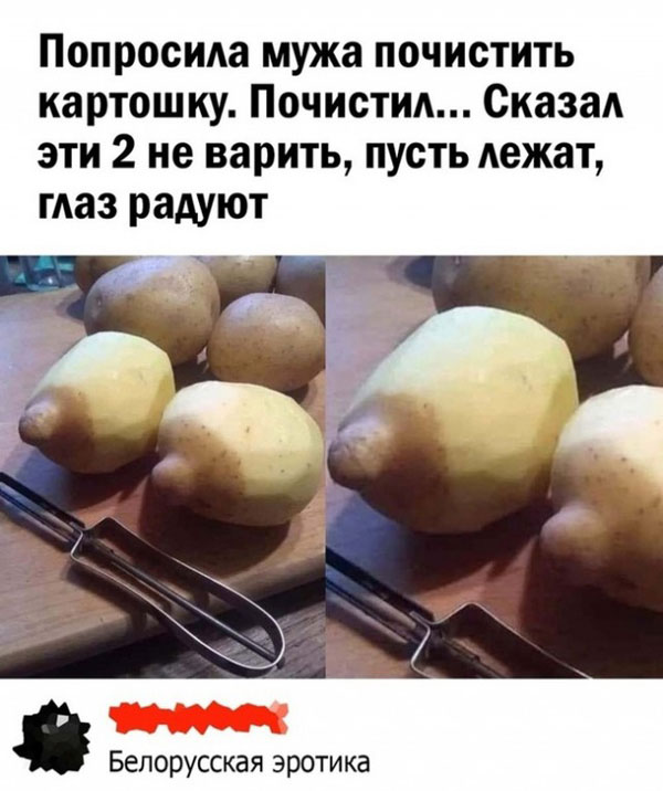 Доставка баянов