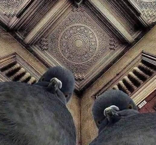 ФотоВинегрет