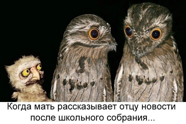 Завалялось тут случайно немного забавных картинок