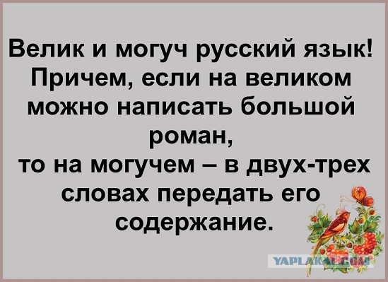 Картинки не для всех