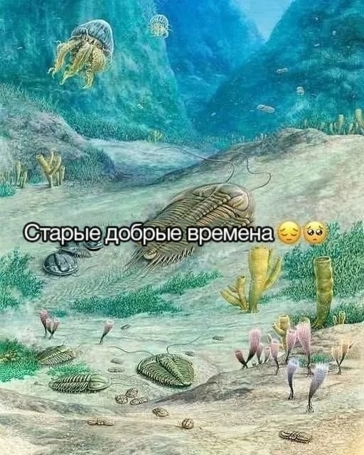 Нуштош 10.04.2025. Временное помутнение рассудка (s3e10)