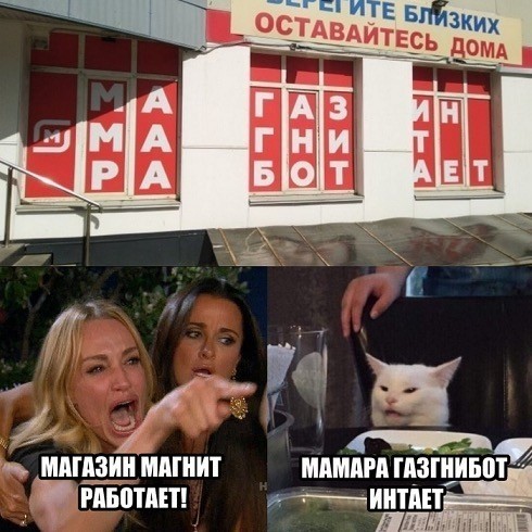 Знаменитый кот 2