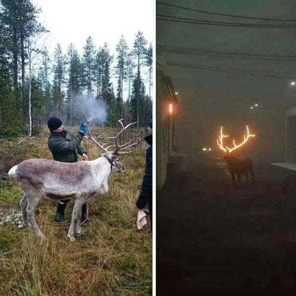 Ну красиво же?!