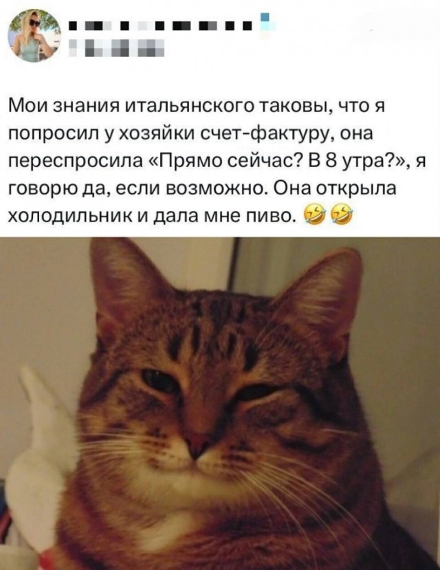 К котовторнику: подборка картинок-баянов с котиками и про котиков. Выпуск 20.
