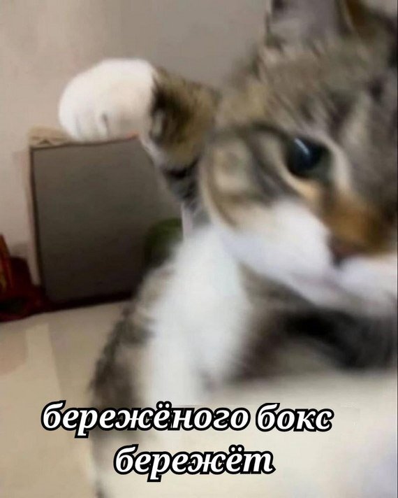 Небаянистая деградация 12