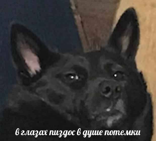 Картинки для деградации 160 (разной степени свежести)