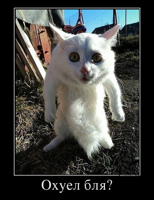 Уделите нам внимание