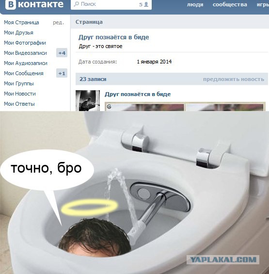 Грамматнасть и нтилехт вконтактовских обитателей