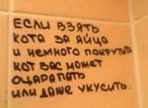 Когда и стены учат Дзену