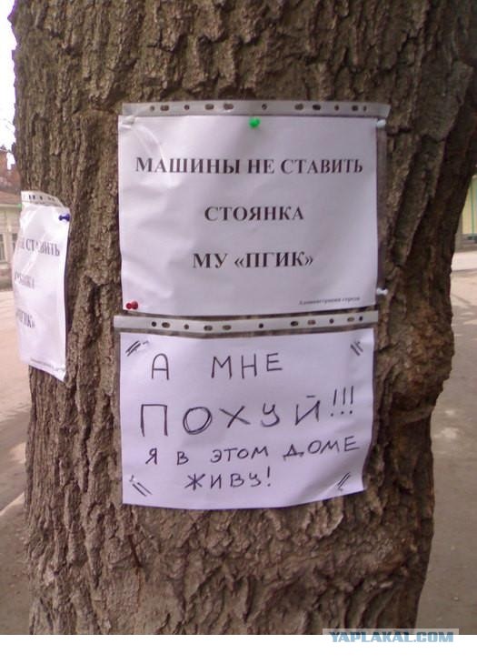 Надписи, вывески, объявления и другие буквы