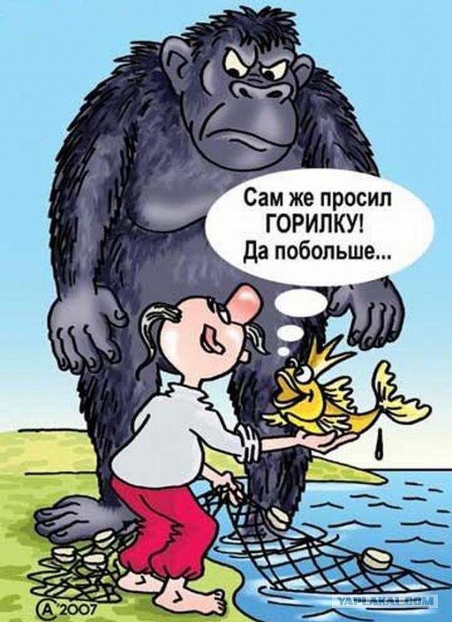 Обзор сми по Украине