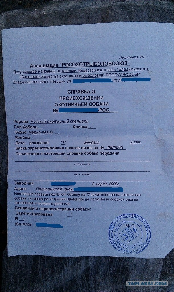 История Грея