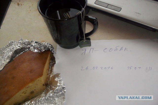 Исчезающая собака