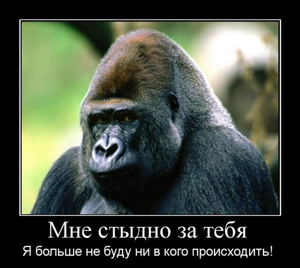 Ваши предположения?