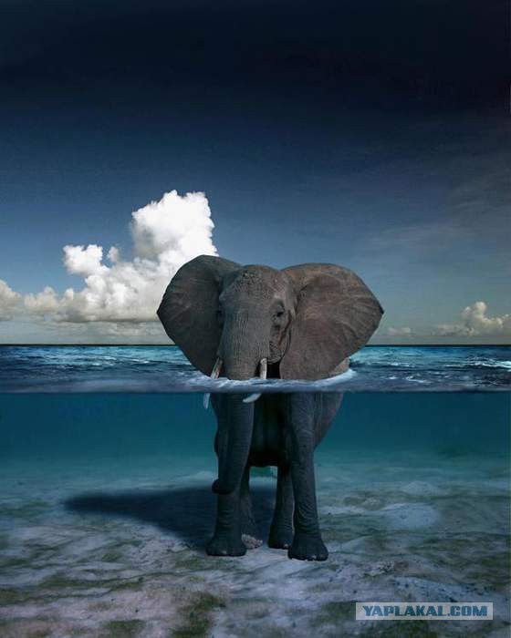 Интересные и веселые картинки