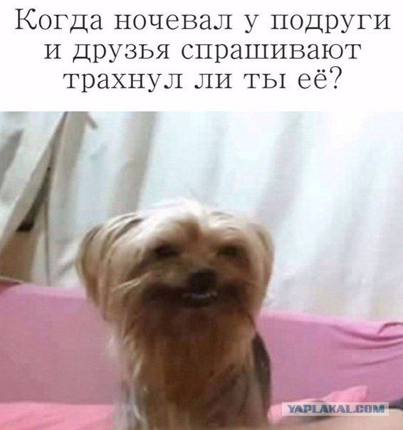 Немного картинок