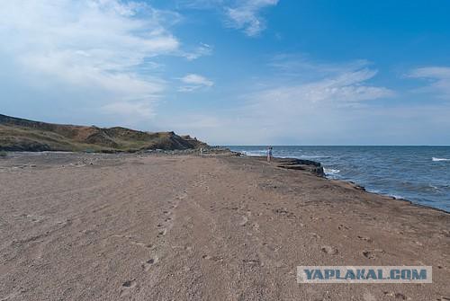 Пора вари... валить бетон! "Альты", шах и мат!