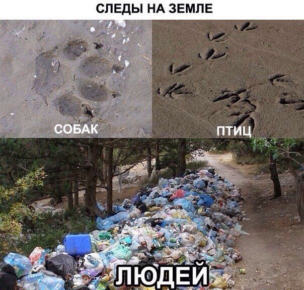 Подборка картинок