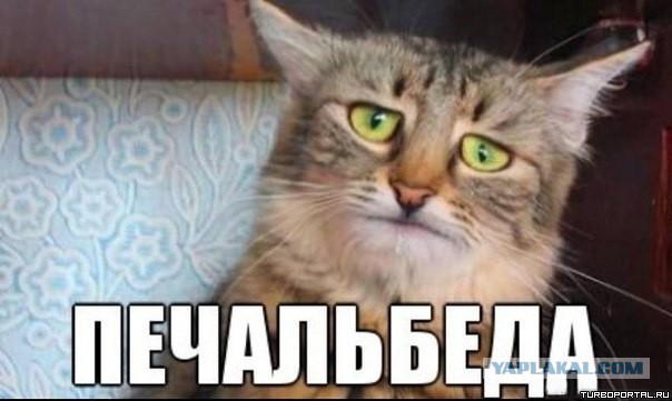 Более половины россиян не видят альтернативы Путину