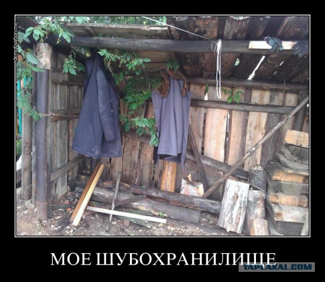 Богатства, найденные у известных коррупционеров
