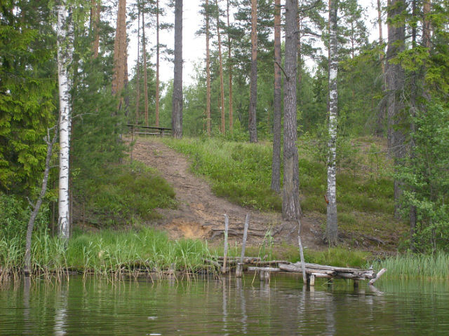 Необъяснимые отметины
