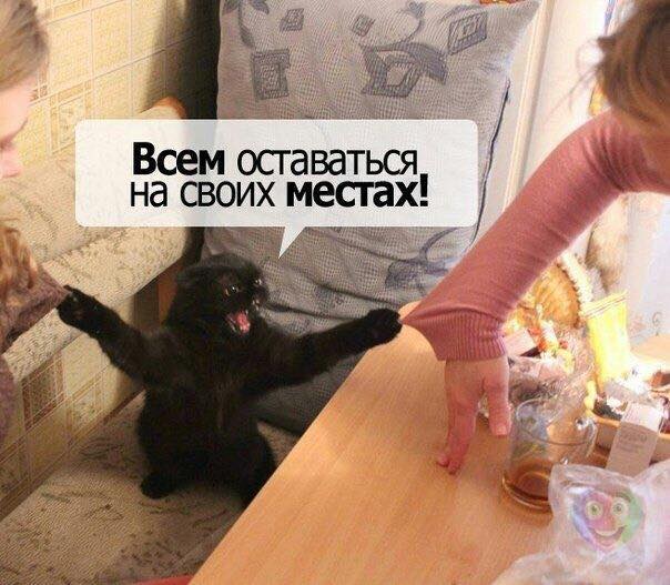 Нас всех преследует понедельничная деградация и откровенный тупёж!