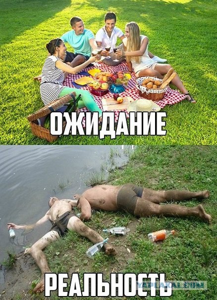 Тупик эволюции