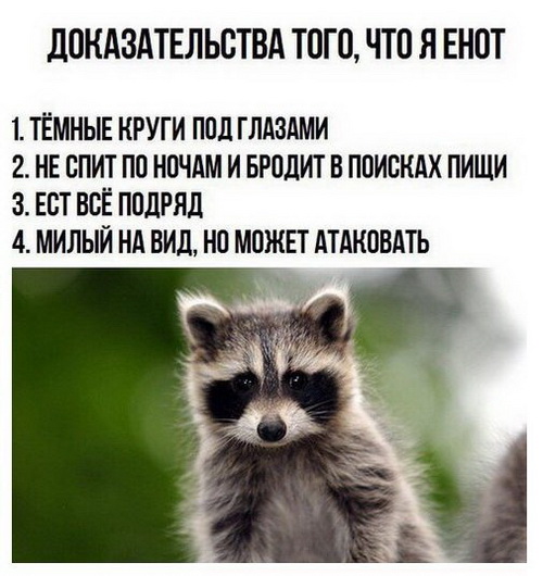 Нестандартный юмор