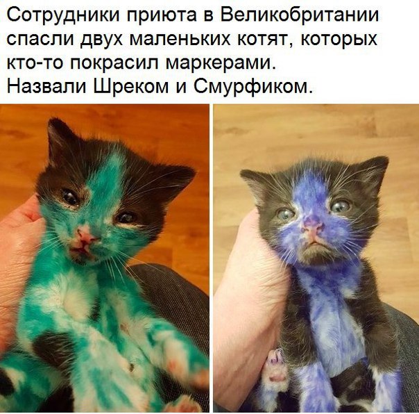 Выходные снова пролетели, но картинок выдам под конец недели