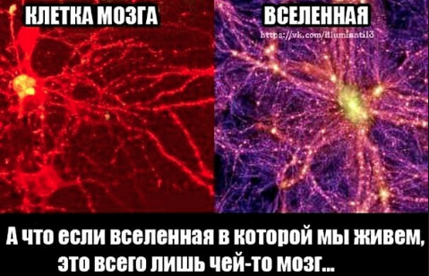 Вселенная - это чье-то тело?